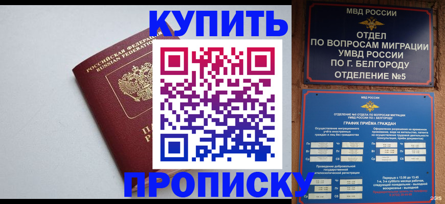 прописка регистрация в Чапаевске